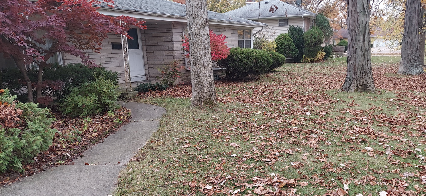 Fall tree trimming and cleanup done by 3 Rivers Tree Service.